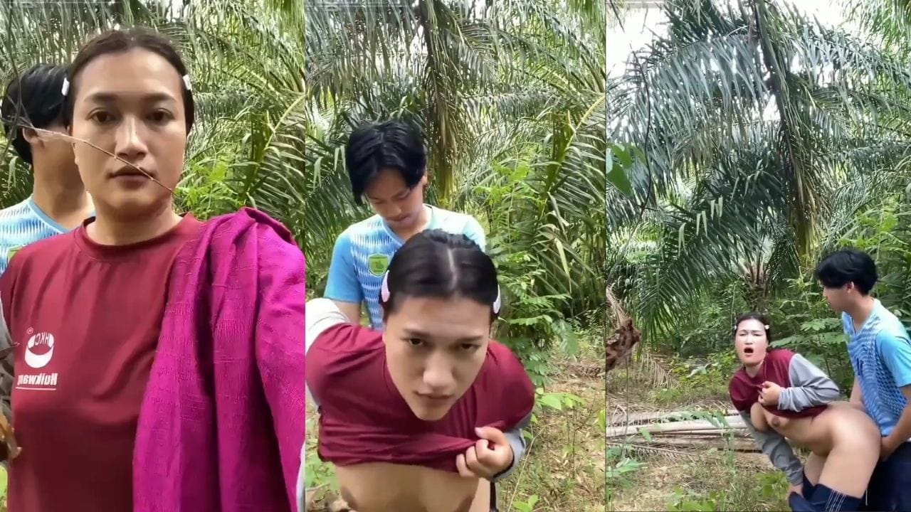 Bokep Indo Ibu Vs Anak Tiri Ngewe Di Kebun Sawit BokepTod
